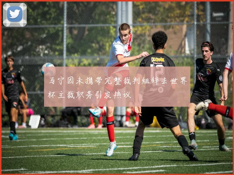 马宁因未携带完整裁判组辞去世界杯主裁职务引发热议
