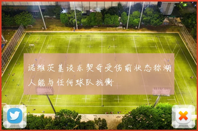 诺维茨基谈东契奇受伤前状态称湖人能与任何球队抗衡